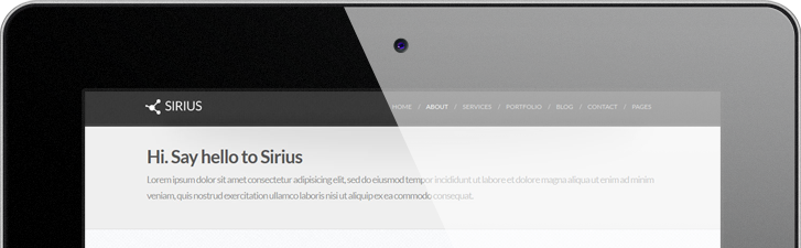 Web漏洞扫描工具